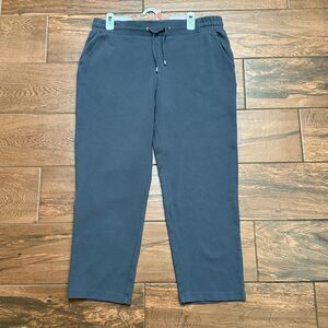 Time tru Blue Slate Pull-On Pants Size PL (12/14) Petite EUC